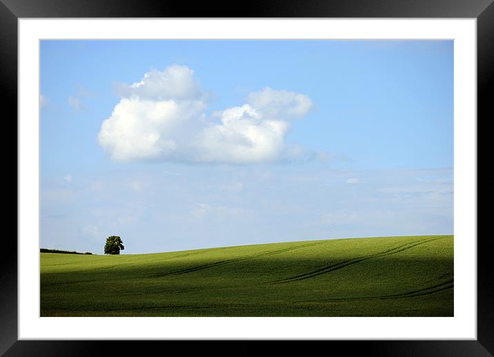 Alone on a Hill Framed Mounted Print by graham young