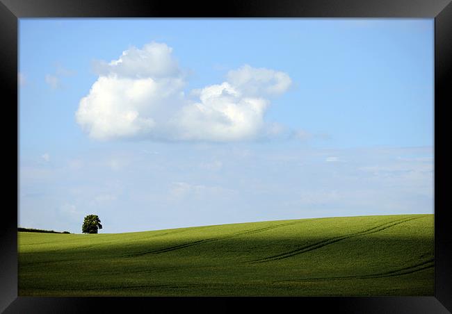 Alone on a Hill Framed Print by graham young