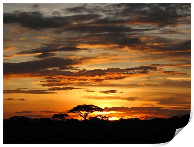 African Sunset Print by Jacqi Elmslie