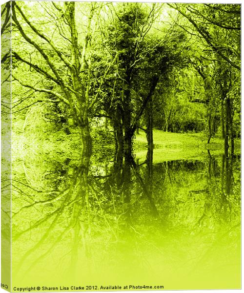 Lime Trees Canvas Print by Sharon Lisa Clarke