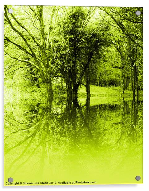 Lime Trees Acrylic by Sharon Lisa Clarke