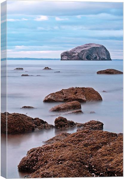 The Bass Rock Canvas Print by Aj’s Images