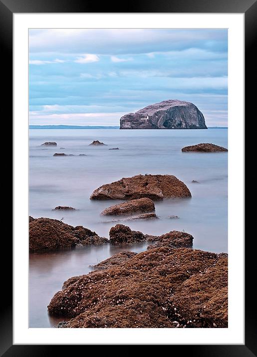 The Bass Rock Framed Mounted Print by Aj’s Images