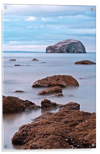 The Bass Rock Acrylic by Aj’s Images