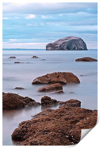 The Bass Rock Print by Aj’s Images