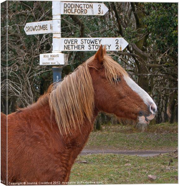 Which Way ? Canvas Print by Joanne Crockford
