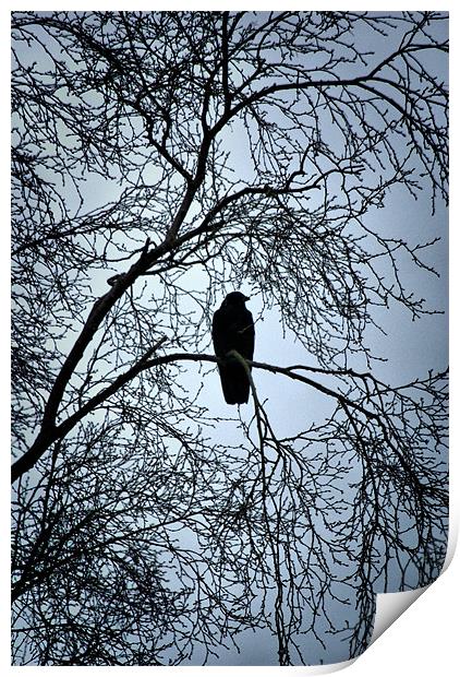 The Raven Print by Maria Tzamtzi Photography