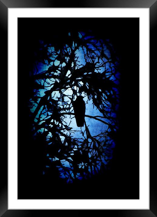 The Raven (dark) Framed Mounted Print by Maria Tzamtzi Photography