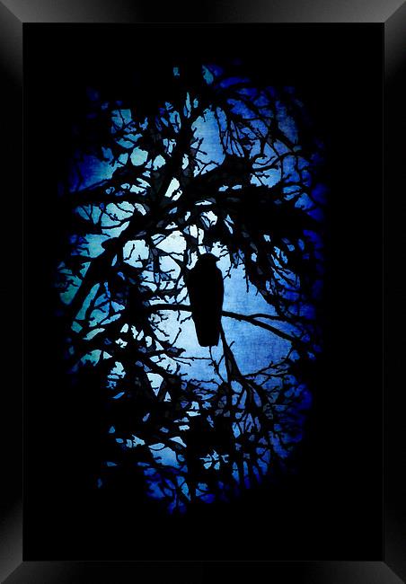 The Raven (dark) Framed Print by Maria Tzamtzi Photography