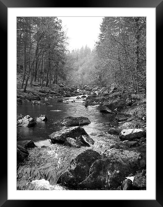 Betys Coed(Excuse my Welsh) Framed Mounted Print by Lee Dawson