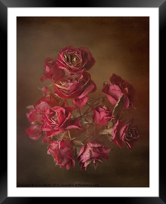 Old Roses Framed Mounted Print by Karen Martin