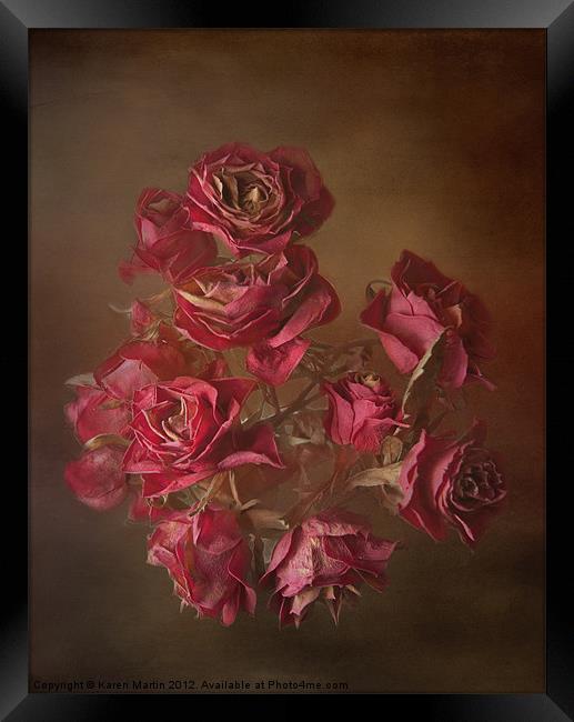 Old Roses Framed Print by Karen Martin
