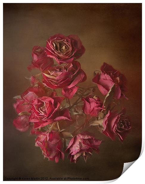 Old Roses Print by Karen Martin
