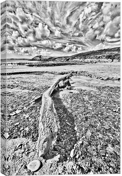 Driftwood Sketch Canvas Print by Steve Purnell