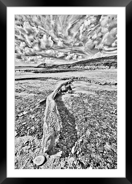 Driftwood Sketch Framed Mounted Print by Steve Purnell