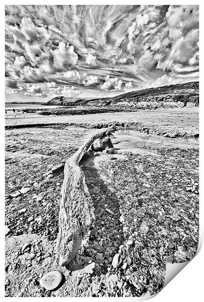 Driftwood Sketch Print by Steve Purnell