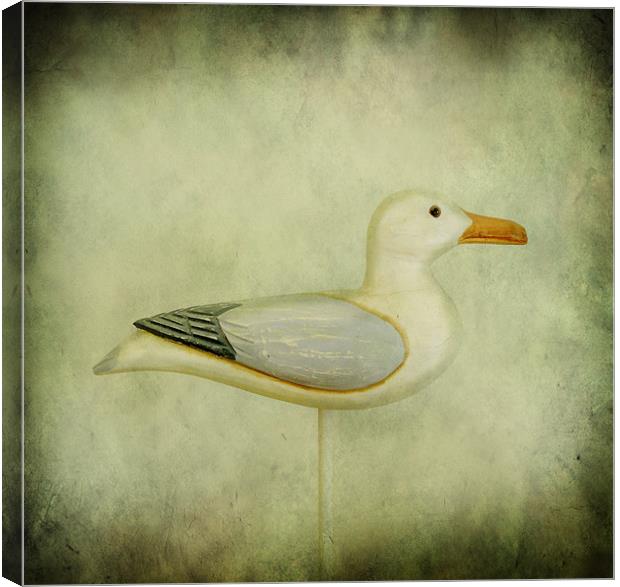 wooden seagull Canvas Print by Heather Newton