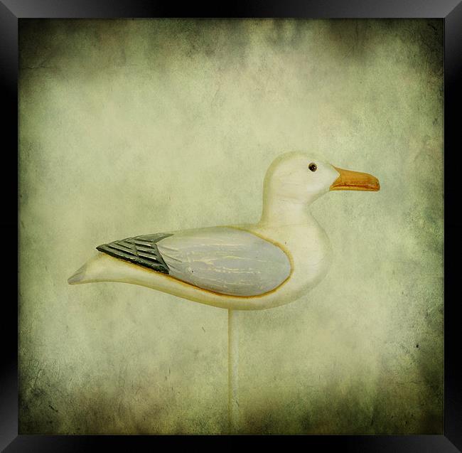 wooden seagull Framed Print by Heather Newton