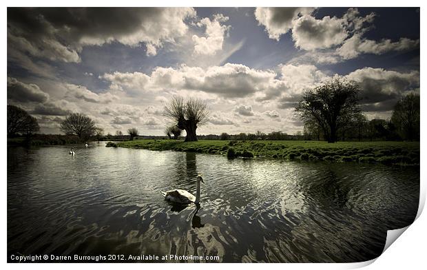 Swans On The Stour Print by Darren Burroughs