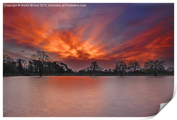 Bushey Park Sunrise Print by Martin Billard