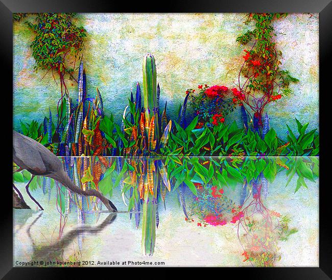 blue heron in my mexican garden Framed Print by john kolenberg