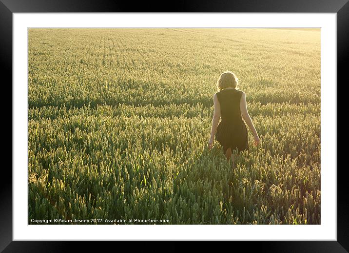 Girl in cornfield Framed Mounted Print by Adam Jesney