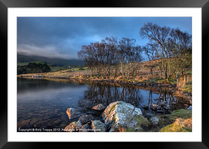 Trees at Cregennan Framed Mounted Print by Rory Trappe