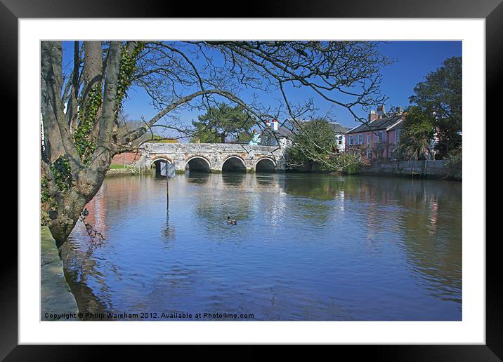 A Riverbank Tree Framed Mounted Print by Phil Wareham