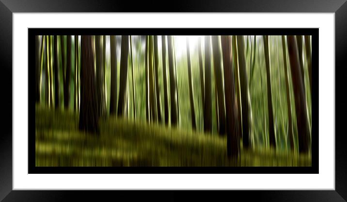 forest dreams (green) Framed Mounted Print by Heather Newton