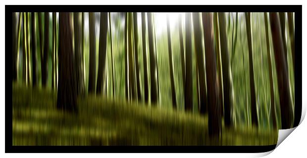 forest dreams (green) Print by Heather Newton