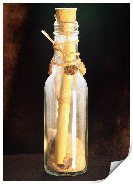 Message In A Bottle Print by Tanya Beaudry