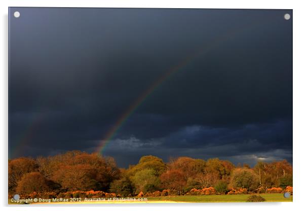 Rainbow over the Newforest Acrylic by Doug McRae
