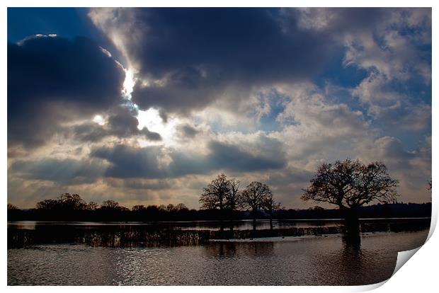 COBHAM FIELD FLOOD Print by Clive Eariss