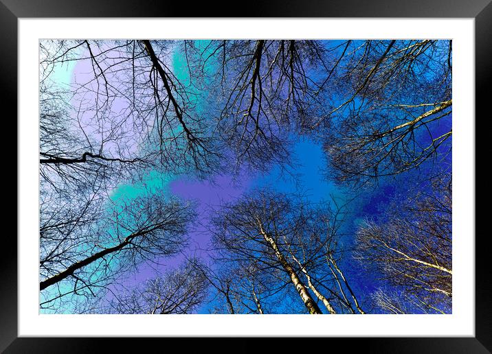 Trees and sky Framed Mounted Print by David Pyatt