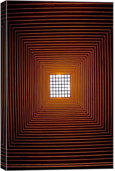 Roof Light Canvas Print by Roger Green