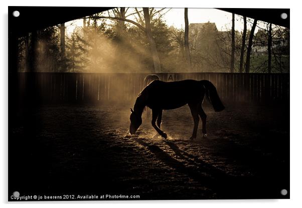 the dust is settling Acrylic by Jo Beerens