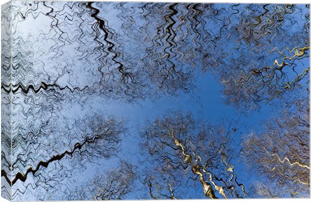 Epping Forest Trees Canvas Print by David Pyatt