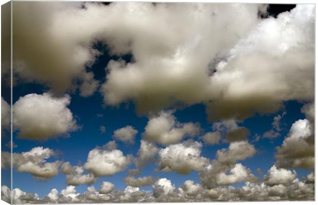 spring cloud Canvas Print by keith sutton