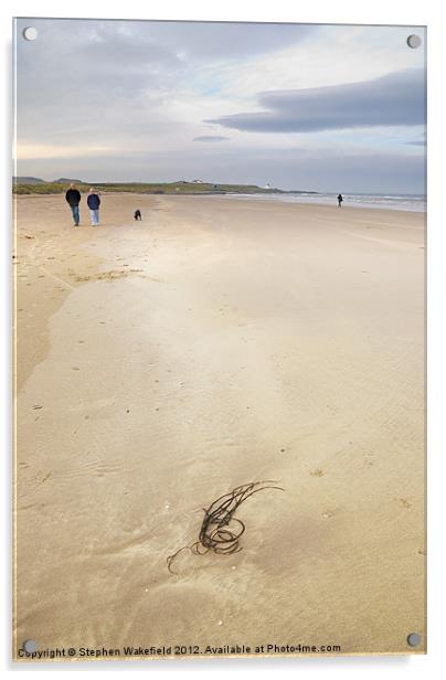 Bamburgh beach No2 Acrylic by Stephen Wakefield