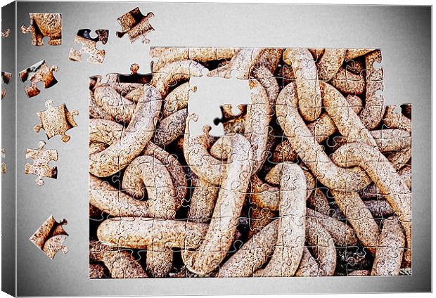 Missing Links Canvas Print by Steve Purnell