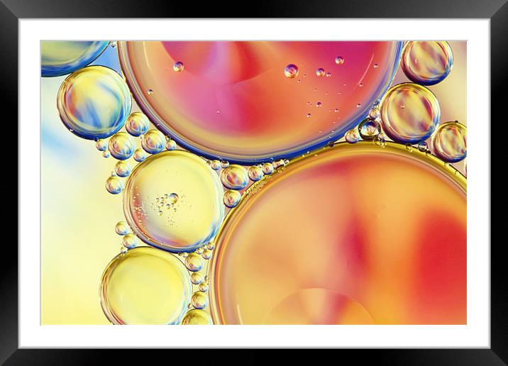 Candy Coloured Oil & Water Drops Framed Mounted Print by Sharon Johnstone