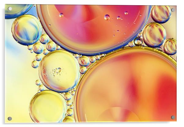 Candy Coloured Oil & Water Drops Acrylic by Sharon Johnstone