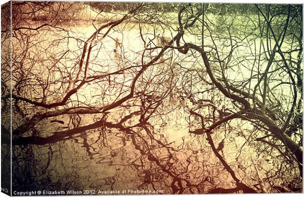 Branches With Reflections Canvas Print by Elizabeth Wilson-Stephen
