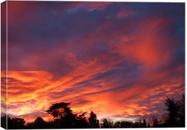 SUNRISE IN COBHAM Canvas Print by Clive Eariss