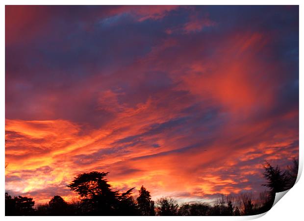 SUNRISE IN COBHAM Print by Clive Eariss