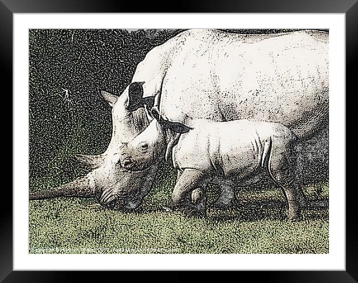 White Rhino and Baby Framed Mounted Print by Hannah Morley