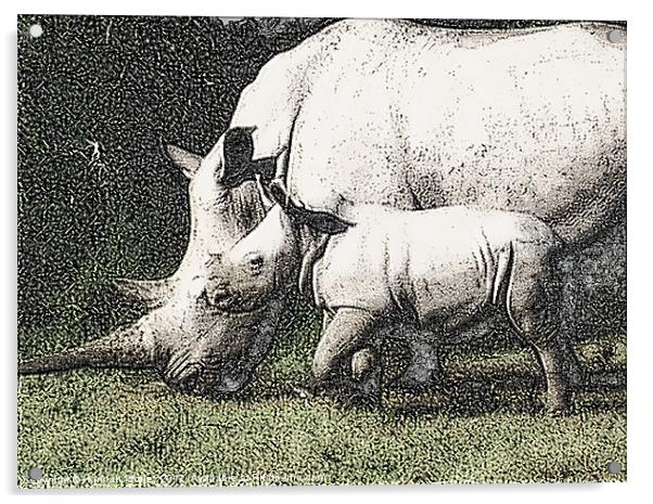 White Rhino and Baby Acrylic by Hannah Morley