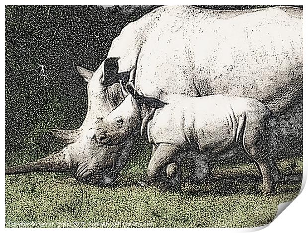 White Rhino and Baby Print by Hannah Morley