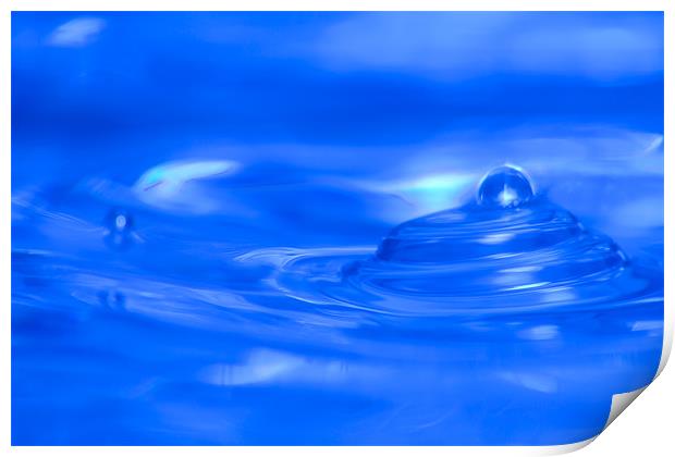 Macro Water Print by allen dutton
