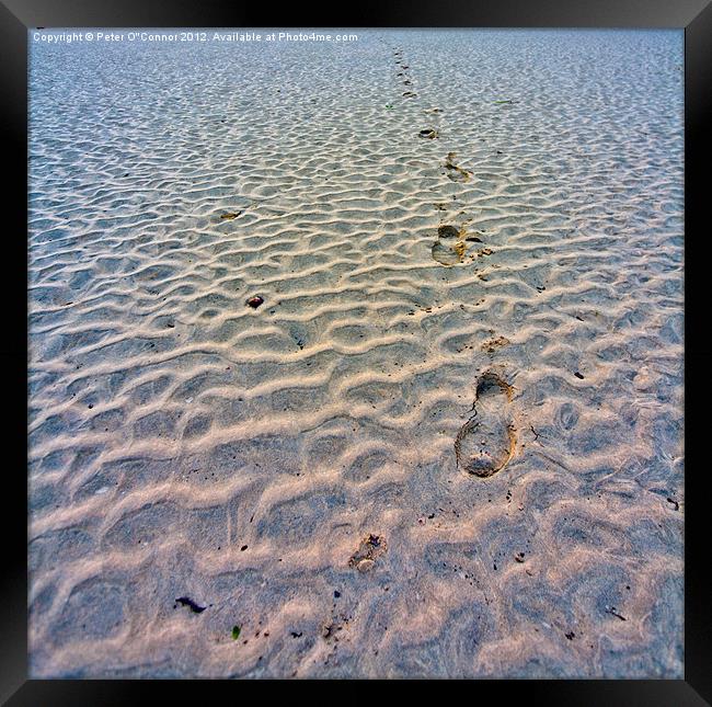 Footprints in the sand Framed Print by Canvas Landscape Peter O'Connor